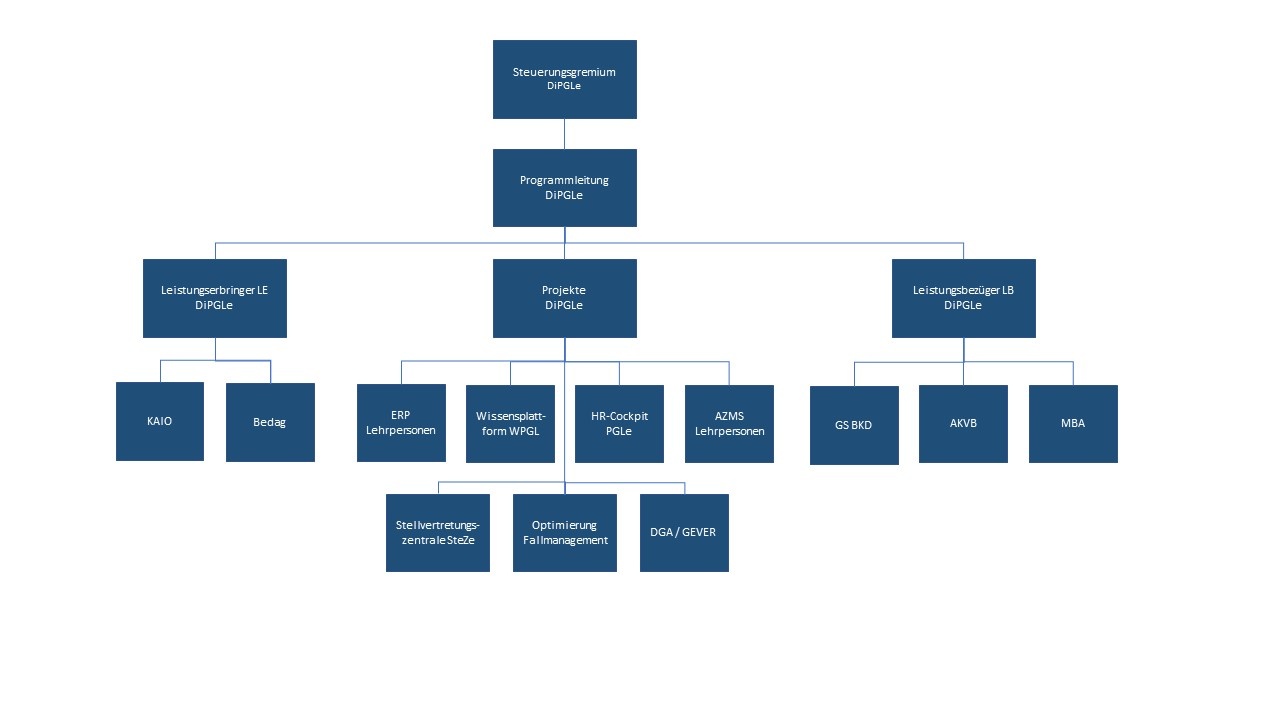 Abbildung Programmorganisation DiPGLe